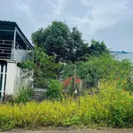 Bán đất hẻm 113 Nguyễn Cơ Thạch 5x25m, Quận 7 - Ảnh thu nhỏ 1
