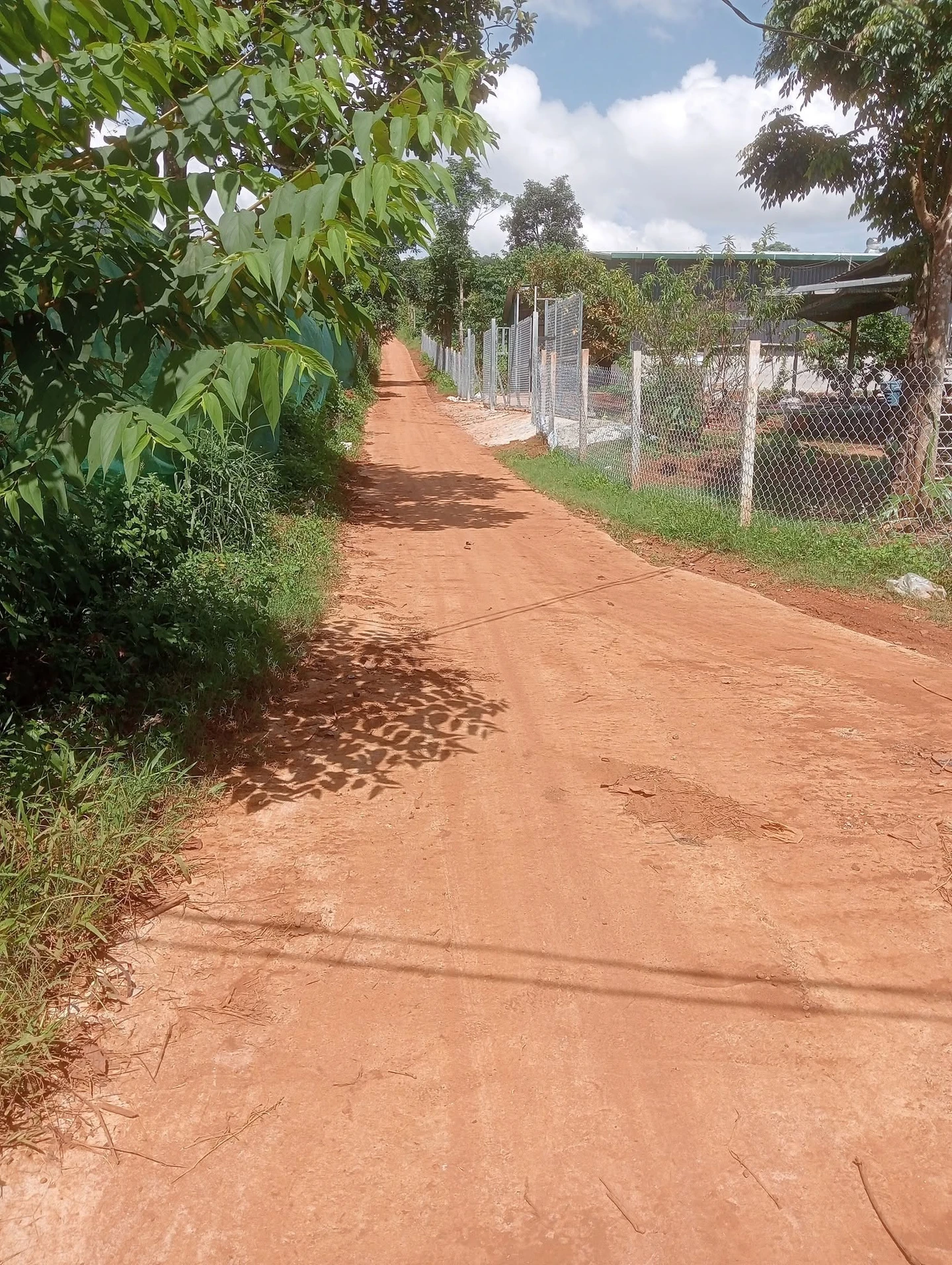 Bán đất ~1,4 ha mặt tiền 150m Trường Xuân 3,6 tỷ - Ảnh 1