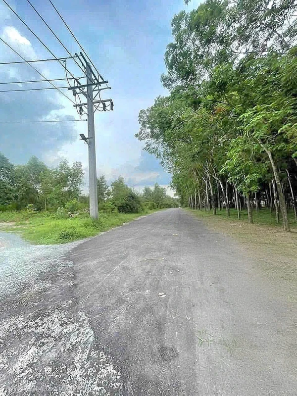 Bán đất Hòa Lợi 2.166m² giá 1 tỷ Bình Dương