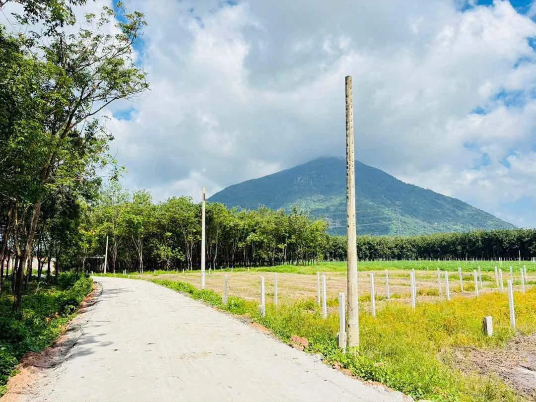 Bán nền đất 5x29m xã Phan Dương, Tây Ninh 320 triệu - Ảnh 1
