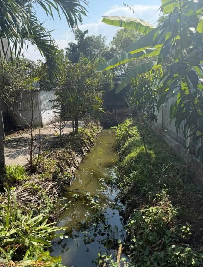Bán nhà vườn 393m² thổ cư tại Mỹ Lộc, Cần Giuộc, Long An giá 1,5 tỷ - Ảnh thu nhỏ 5
