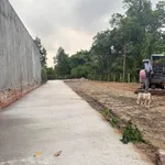 Bán lô đất mặt tiền Hoàng Hoa Thám 92.4m² - 790 triệu - Ảnh thu nhỏ 2