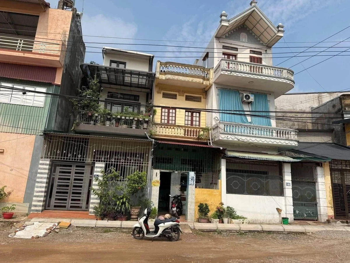 Bán lô đất tặng nhà 2 tầng 54m2 Trần Nguyên Hãng Bình Chánh - Ảnh 1