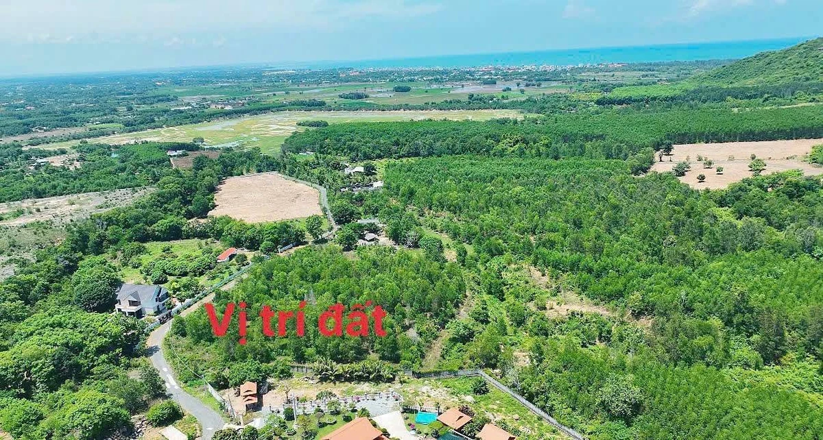 Bán đất 5969m2 Phước Hải Cần Giờ 18 tỷ - Ảnh thu nhỏ 5