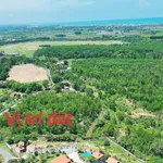 Bán đất 5969m2 Phước Hải Cần Giờ 18 tỷ - Ảnh thu nhỏ 5
