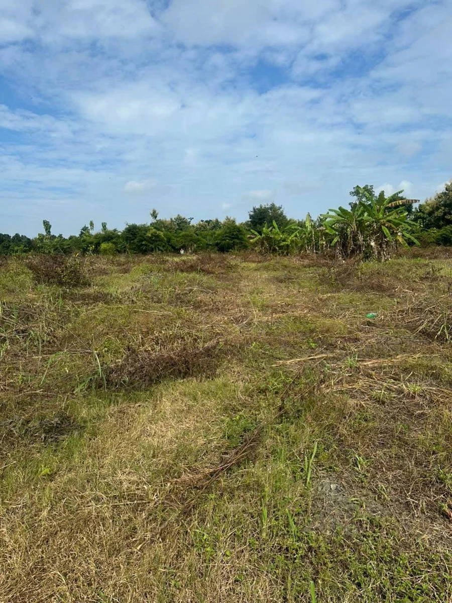 Bán đất 22.225m2 Ấp 1, Thanh Sơn, Định Quán, Đồng Nai giá 1,8 tỷ - Ảnh thu nhỏ 4