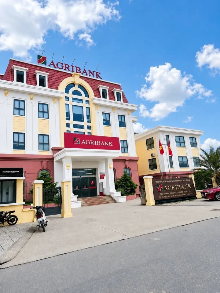 Bán lô đất 100m2 mặt tiền 15m Thủ Thừa 1 tỷ 150 - Ảnh thu nhỏ 2