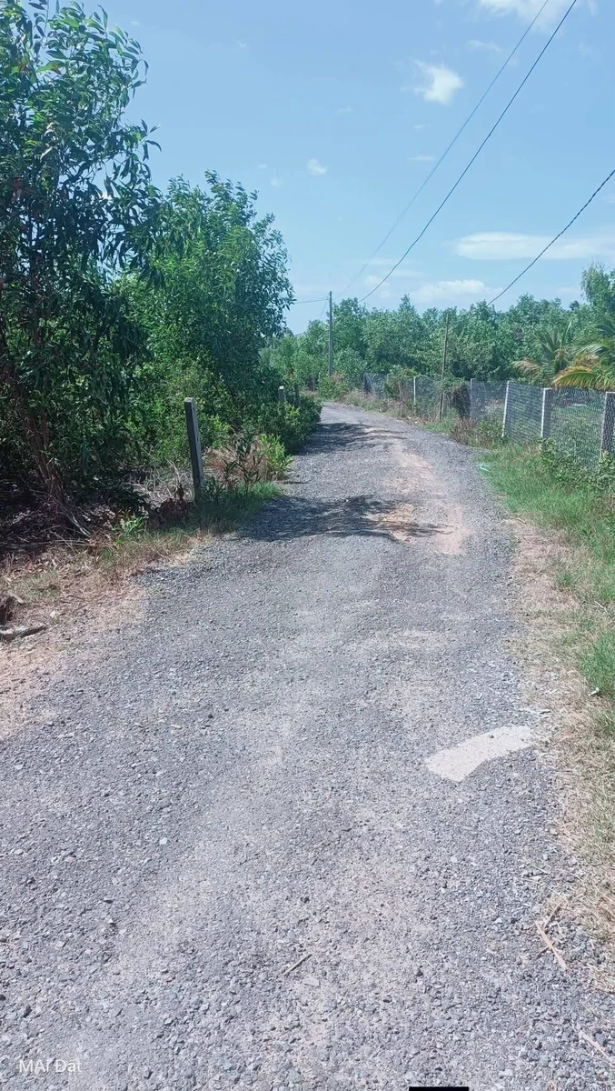 Bán đất 25m x 46m (1150m²) tại Xuân Lộc, Phú Yên - Ảnh 1