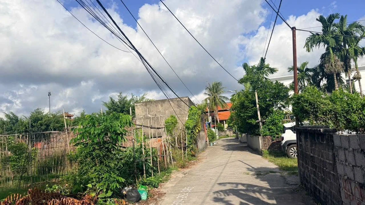 Bán lô đất 56m2 ngõ thông ô tô tại Xích Thổ, phường An Hải, giá hơn 1 tỷ - Ảnh thu nhỏ 3