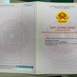 Bán đất tại xã Ea Tu, 4,5 tỷ, 625m2, giá ưu đãi - Ảnh thu nhỏ 12