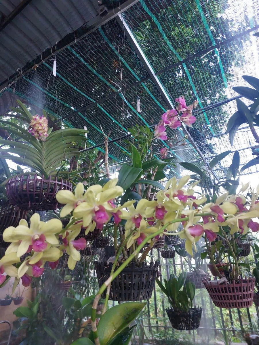 Bán đất mặt tiền Nguyễn Diêu Quy Nhơn 100m2 - Ảnh 1