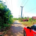 Bán đất mặt tiền Nhựa Long Tân 125m² chỉ 600 triệu - Ảnh thu nhỏ 1
