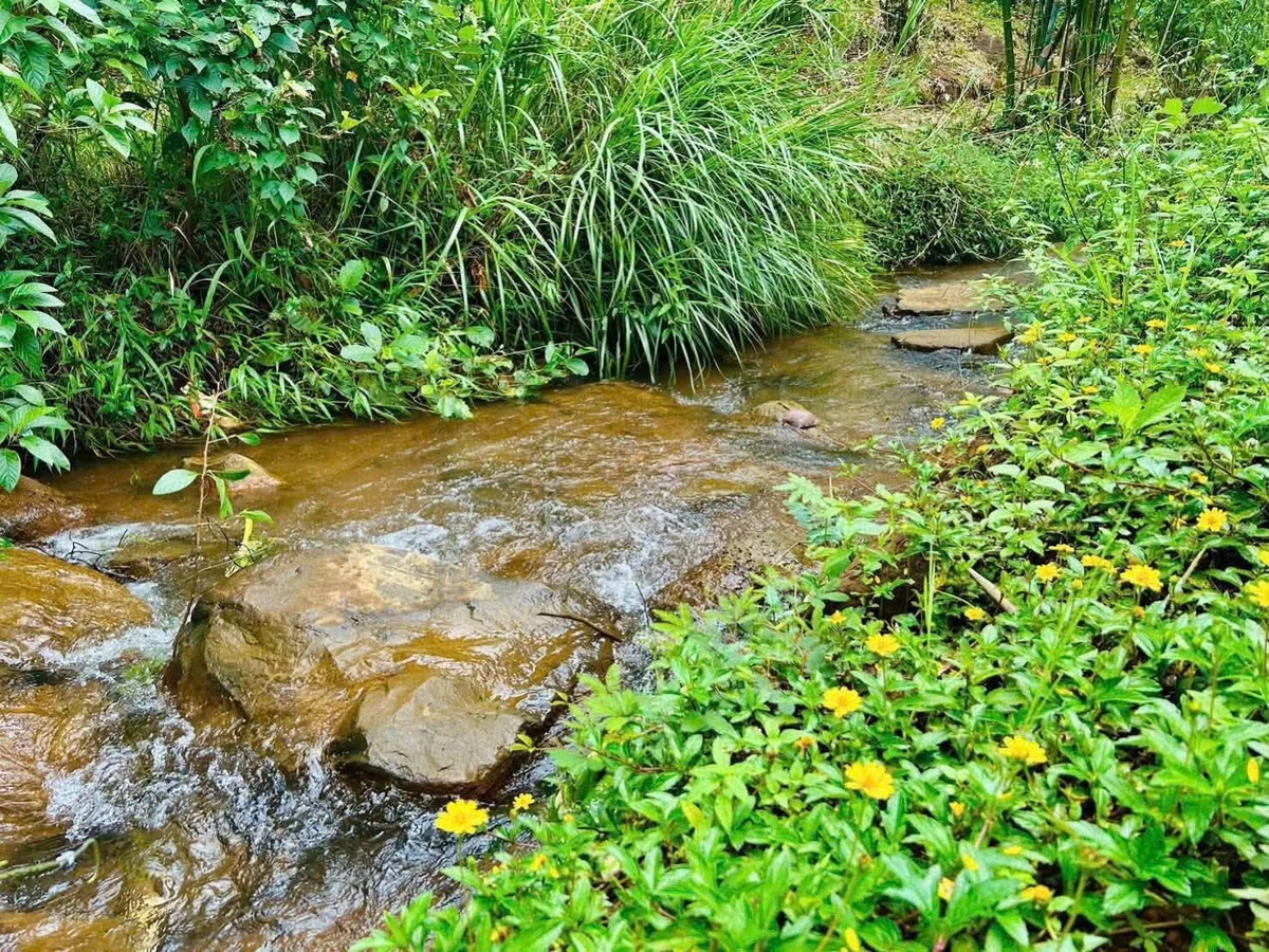 Bán đất mặt tiền Phùng Hưng Bảo Lộc 1000m2 - 3.5 tỷ - Ảnh thu nhỏ 3