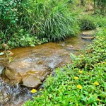 Bán đất mặt tiền Phùng Hưng Bảo Lộc 1000m2 - 3.5 tỷ - Ảnh thu nhỏ 3