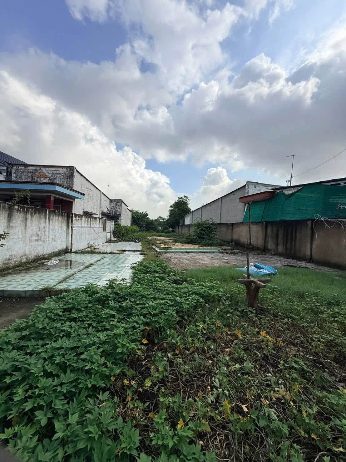 Bán đất 400m² Phường Tân Hạnh, giá 4,2 tỷ - Ảnh 1