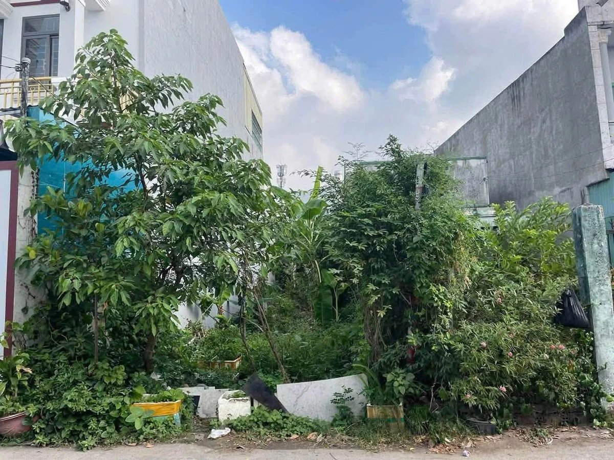 Bán đất mặt tiền Phú Mỹ 110m² giá 2.5 tỷ - Ảnh thu nhỏ 2