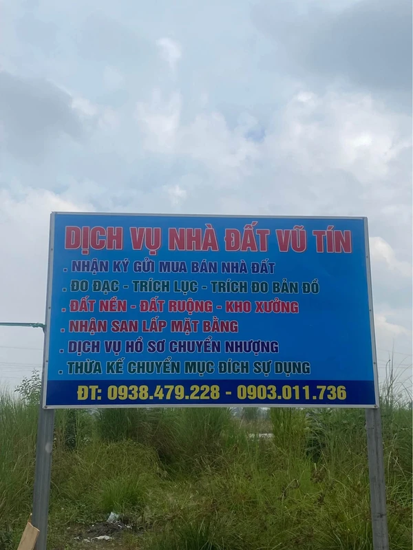 Bán lô đất 100m² đường D1 Bến Lức, Long An, 3 tỷ