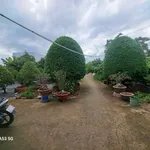 Bán nhà vườn 3550m² Phước Lâm Cần Giuộc 19,5 tỷ - Ảnh thu nhỏ 2
