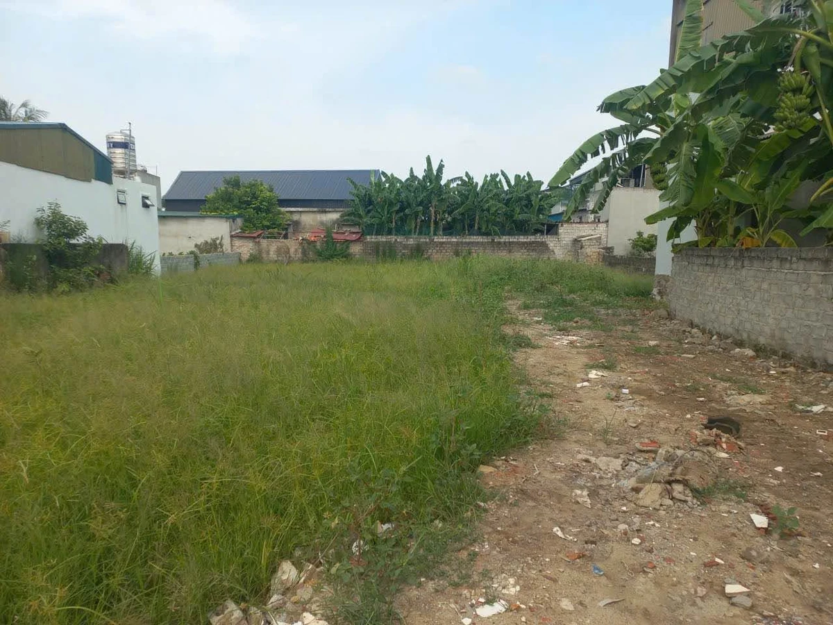 Bán đất 600m² Quảng Thịnh nhỉnh 4 tỷ có nhà C4 - Ảnh thu nhỏ 3