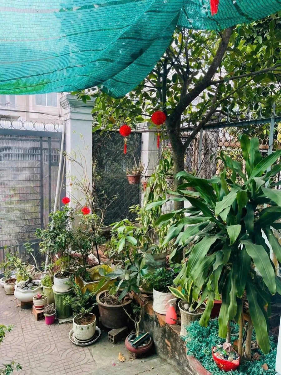 Bán nhà cấp 4 100m² Phường Bạc Liêu 1 tỷ 350 triệu - Ảnh thu nhỏ 4
