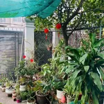 Bán nhà cấp 4 100m² Phường Bạc Liêu 1 tỷ 350 triệu - Ảnh thu nhỏ 4