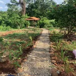 Bán nhà vườn 1609m2 Xã Ea Nuôl Đắk Lắk 1,2 tỷ - Ảnh thu nhỏ 1