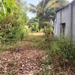 Bán đất 2400m² thổ cư 200m² Bình Thuận 1 tỷ 750 triệu - Ảnh thu nhỏ 2