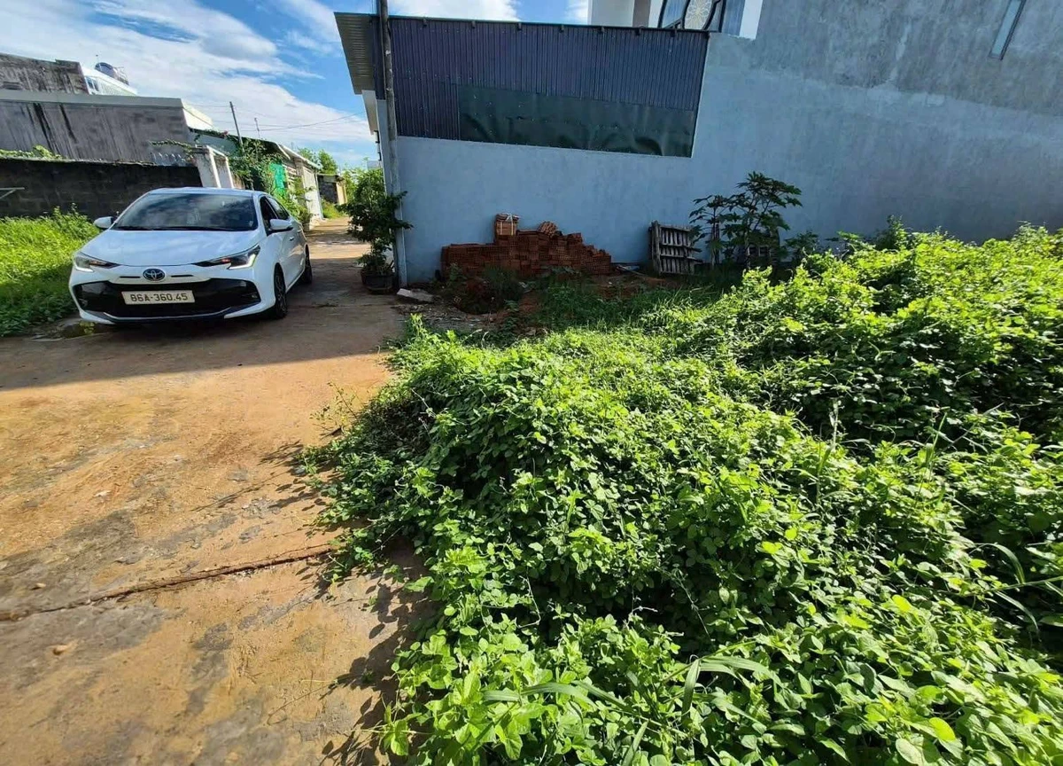 Bán đất thổ cư 189,6 m² Xóm Đoàn Kết, Lâm Đồng - 1,2 tỷ - Ảnh thu nhỏ 3