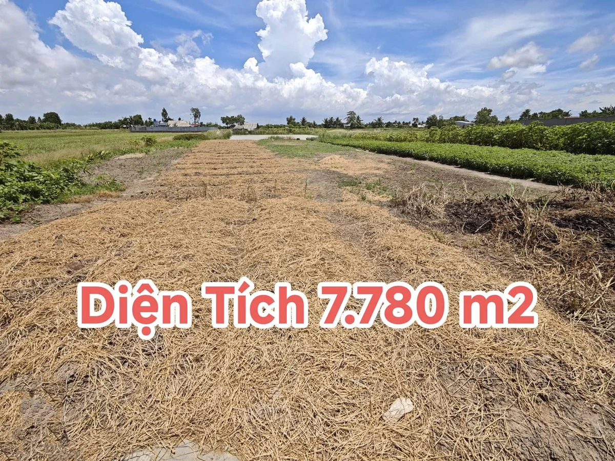 Bán đất 2 mặt tiền 7780m² Phường Vĩnh Thông An Giang - Ảnh thu nhỏ 2