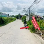 Bán đất mặt tiền Tân Định, Bến Cát, Bình Dương, 200m², 1 tỷ 750 - Ảnh thu nhỏ 4