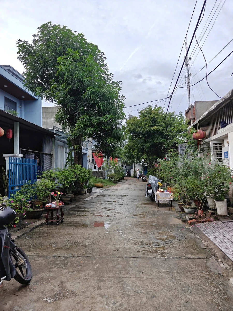 Bán đất KQH Nguyễn Trung Ngạn 100m² giá 1,48 tỷ - Ảnh thu nhỏ 2