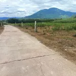 Bán lô đất vườn 750m2 Diên Khánh Nha Trang - Ảnh thu nhỏ 1