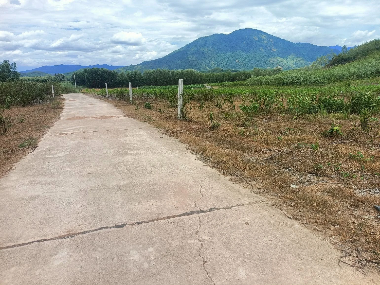 Bán lô đất vườn 750m2 Diên Khánh Nha Trang - Ảnh 1