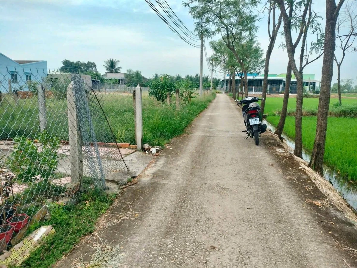 Bán đất Tân Trung Gò Công Tiền Giang 85m² 260 triệu - Ảnh thu nhỏ 2