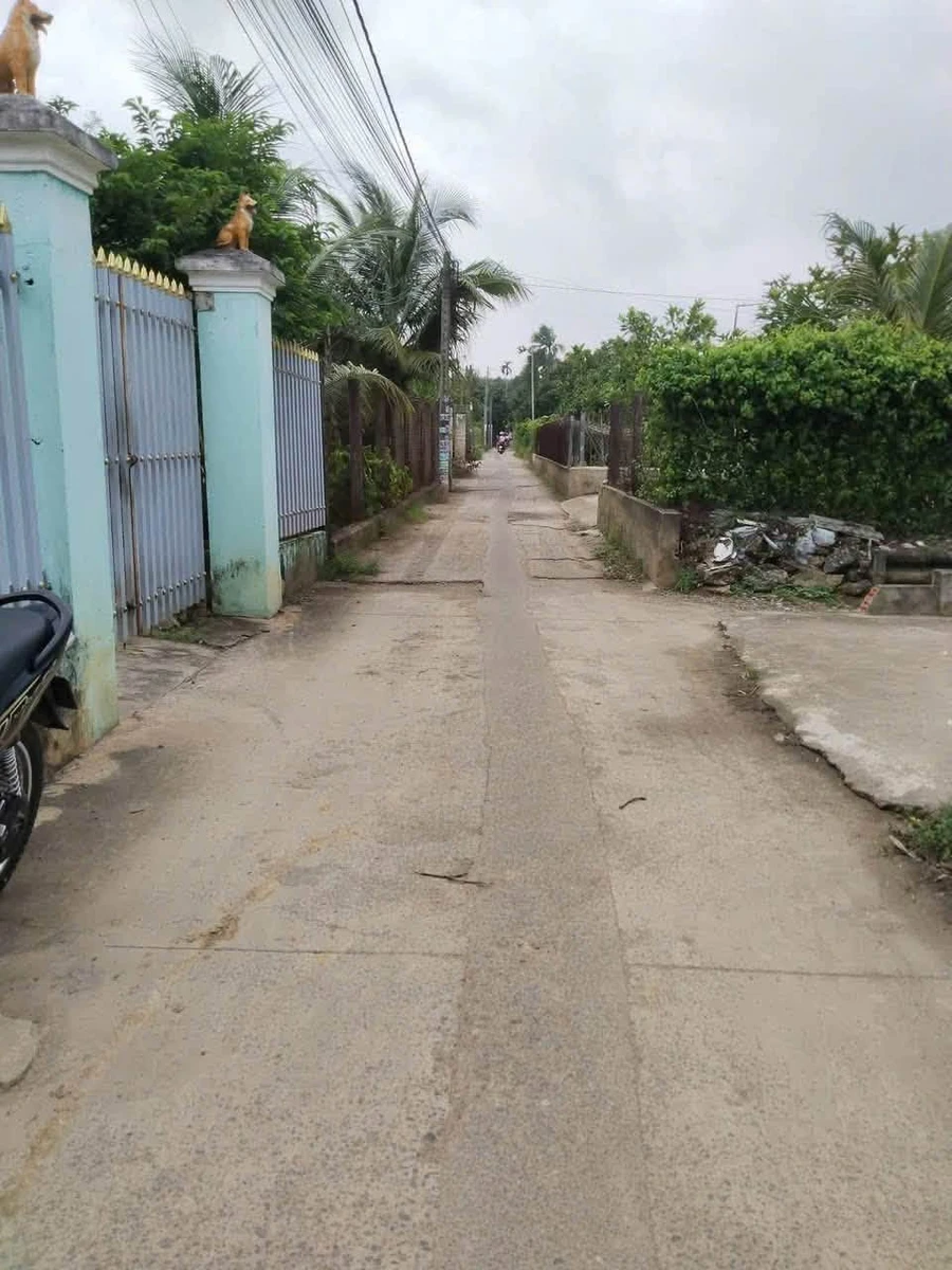 Bán nhà vườn 376m² sổ hồng riêng hẻm Lý Thái Tổ, Phú Hội, Nhơn Trạch, Đồng Nai - Ảnh thu nhỏ 2