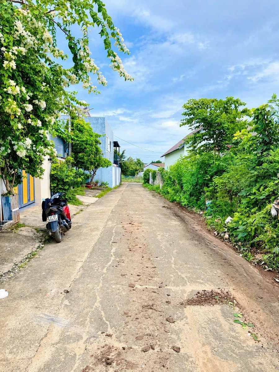 Bán đất mặt tiền đường A2, 170m², Buôn Ma Thuột - Ảnh thu nhỏ 2