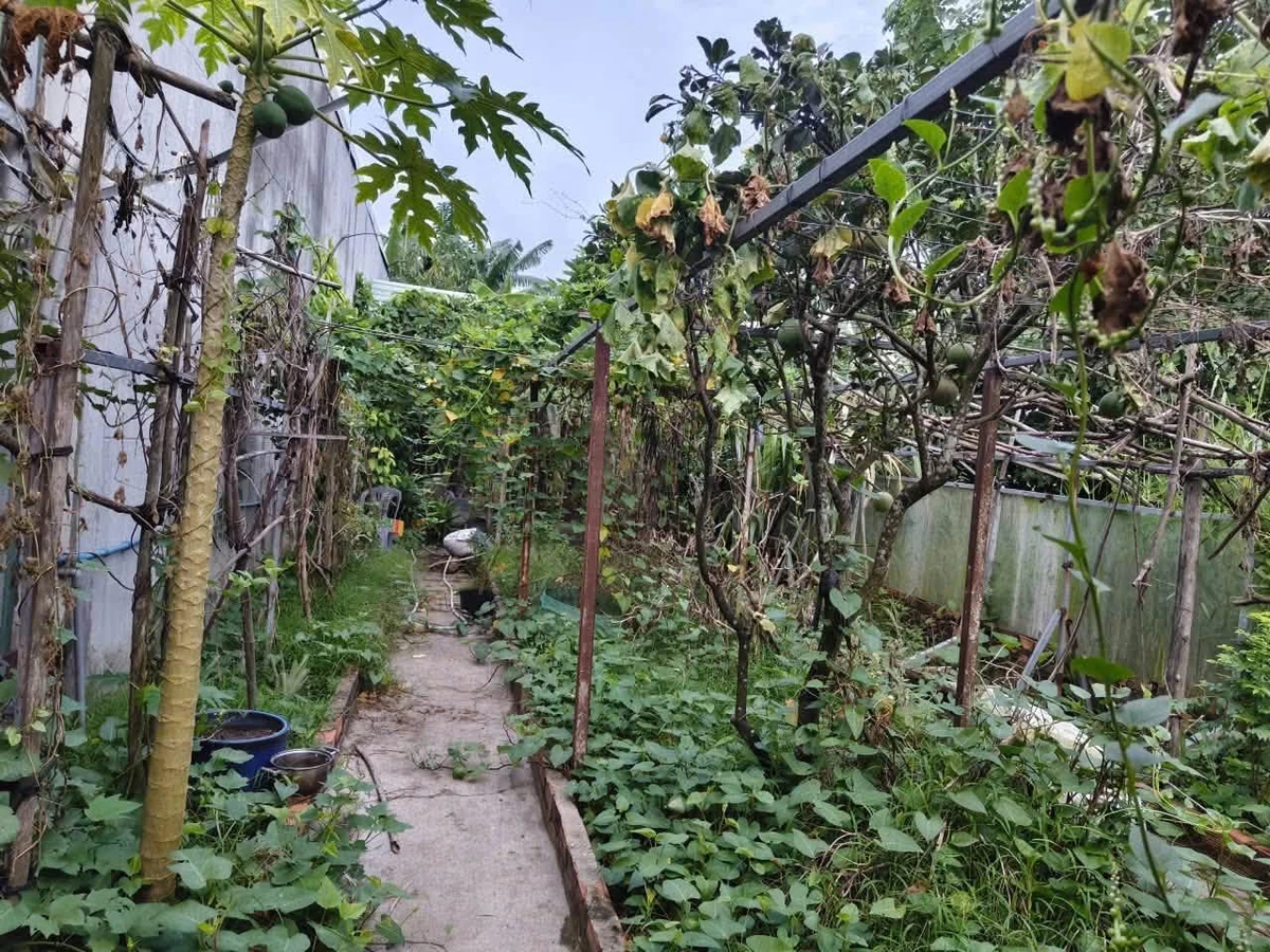 Bán đất 189,3m2 (thổ cư 90m2) kèm nhà kho và vườn, gần chợ Bưng Cầu, Hiệp An - Ảnh thu nhỏ 4