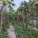 Bán đất 189,3m2 (thổ cư 90m2) kèm nhà kho và vườn, gần chợ Bưng Cầu, Hiệp An - Ảnh thu nhỏ 4