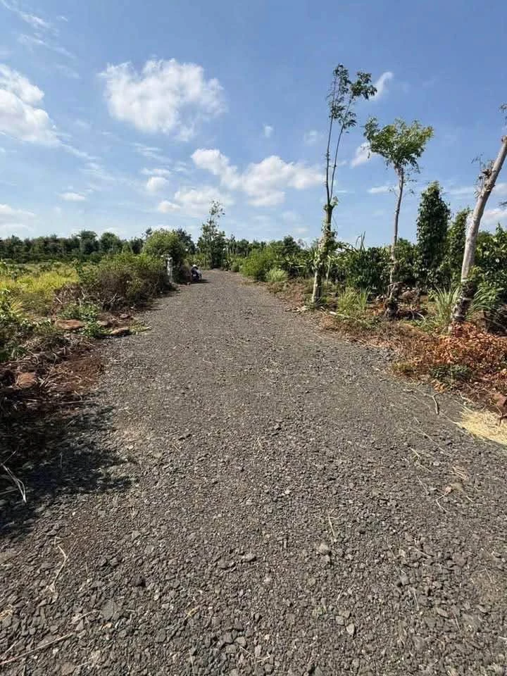 Bán đất nông nghiệp 511m2 mặt tiền 34m, sổ riêng, giá 499 triệu tại Buôn Ma Thuột - Ảnh thu nhỏ 5