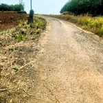 Bán lô đất 1.096m² Bàu Cạn, Long Thành, gần sân bay - Ảnh thu nhỏ 1