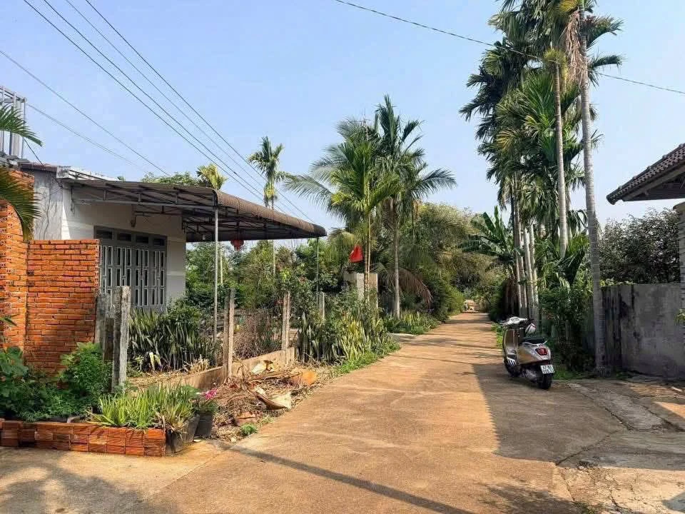 Bán đất nền Ea Kao 210m² giá 695 triệu - Ảnh thu nhỏ 3
