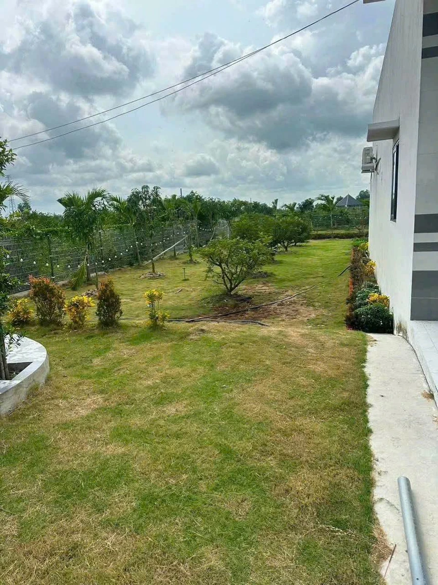 Bán nhà vườn lô góc 2 mặt tiền kênh gần 1.000m² tại Tân Thành, Thủ Thừa, Long An - Ảnh thu nhỏ 4