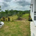 Bán nhà vườn lô góc 2 mặt tiền kênh gần 1.000m² tại Tân Thành, Thủ Thừa, Long An - Ảnh thu nhỏ 4