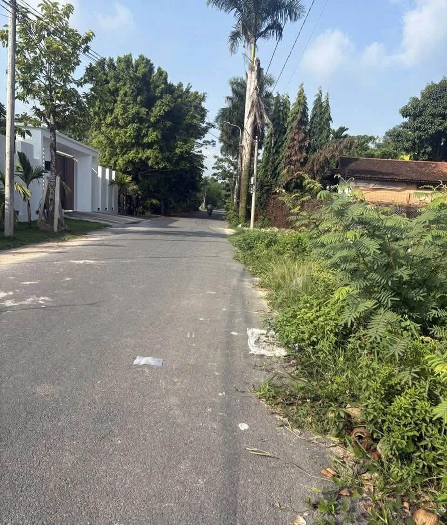 Bán đất 5x37m có 100m2 thổ cư tặng nhà tiền chế đường Phim Trường, Phú An - Ảnh thu nhỏ 3
