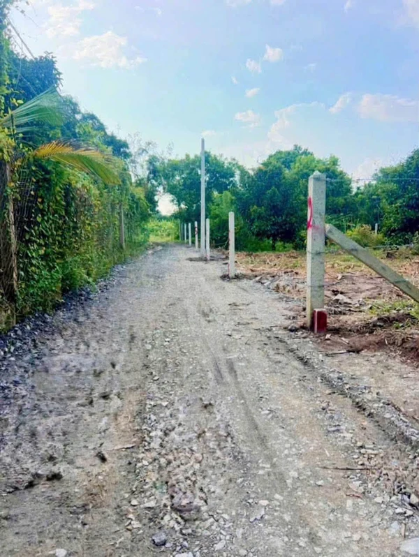 Bán đất Tây Ninh 67.5m² hẻm 88 Nguyễn Văn Linh 240 triệu