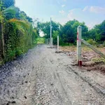Bán đất Tây Ninh 67.5m² hẻm 88 Nguyễn Văn Linh 240 triệu - Ảnh thu nhỏ 1