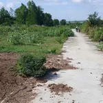 Bán đất 9.240m² tại Bắc Bình, Bình Thuận 2 tỷ 350 - Ảnh thu nhỏ 3