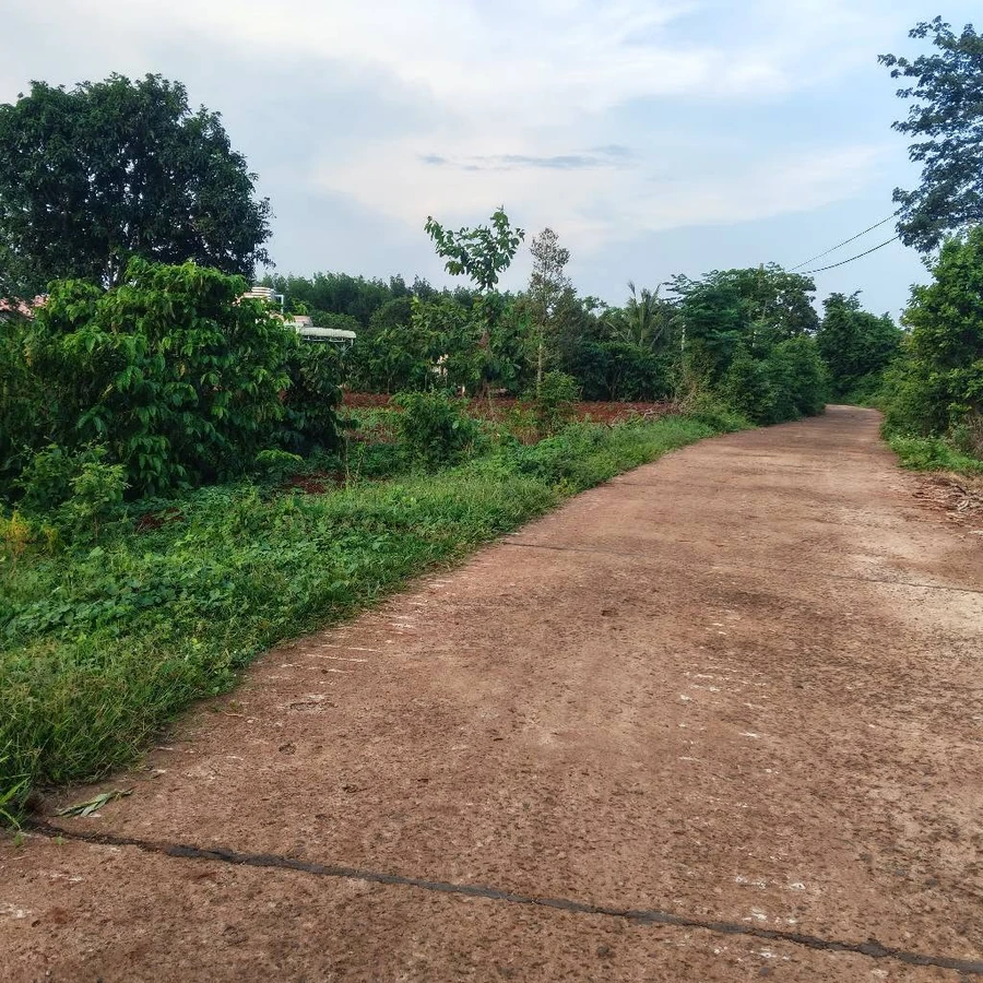 Bán đất Láng Lớn Kim Long 3000m2, 3 tỷ - Ảnh thu nhỏ 2