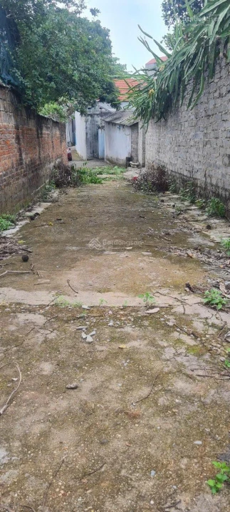 Đất giữa thị trấn Kép, Lạng Giang. 638m2 - Full thổ cư. Giá 3,5 tỷ - Ảnh 1