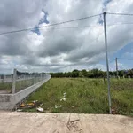 Bán đất Xã Đất Đỏ 269m2 mặt tiền 639 triệu - Ảnh thu nhỏ 5